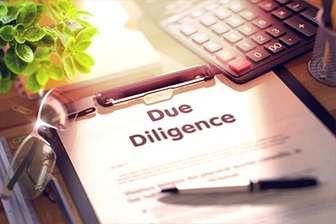 DUE DILIGENCE SERVICES